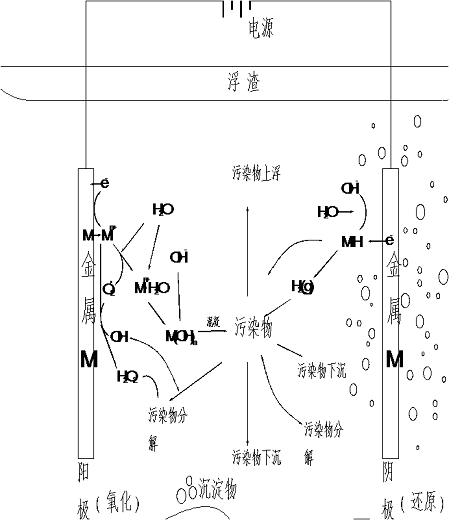乐鱼捕鱼官网